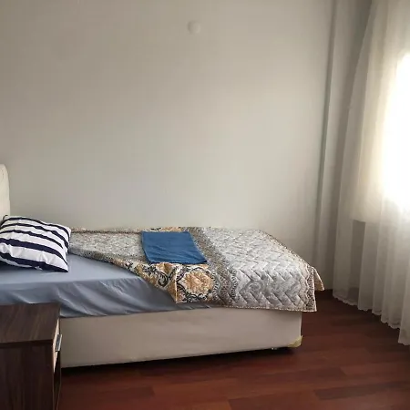 White House 4*